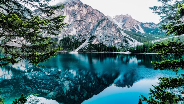 Come aprire una riserva naturale