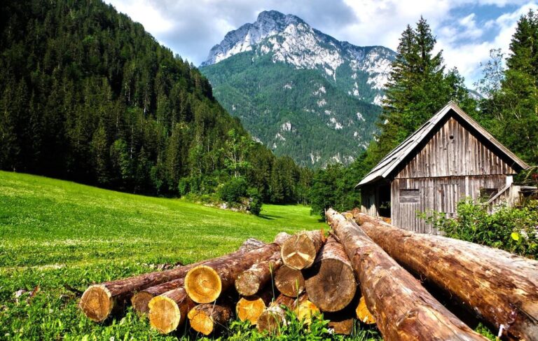 come vivere in autosufficienza in montagna