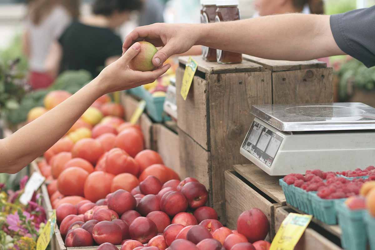 Aprire un negozio di frutta e verdura: ecco come fare