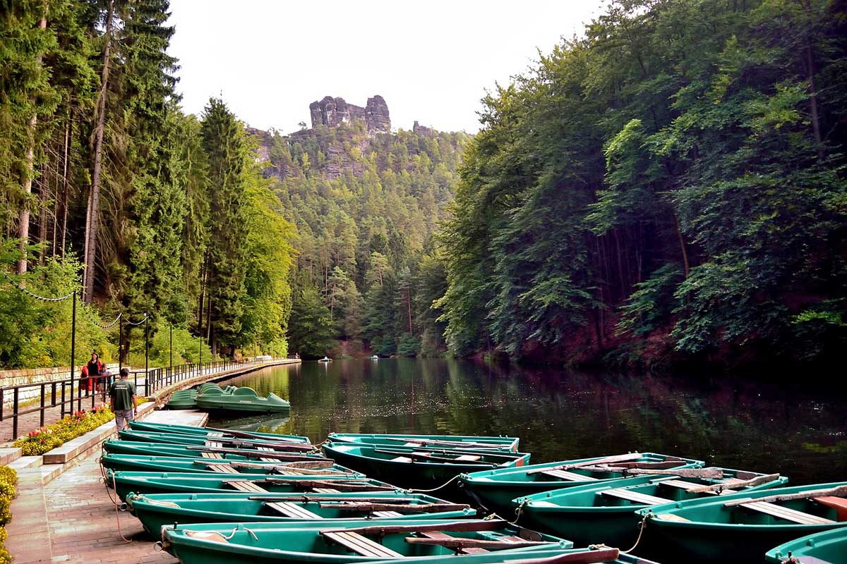 Visitare la foresta nera delle fiabe dei fratelli Grimm: tra natura e mistero