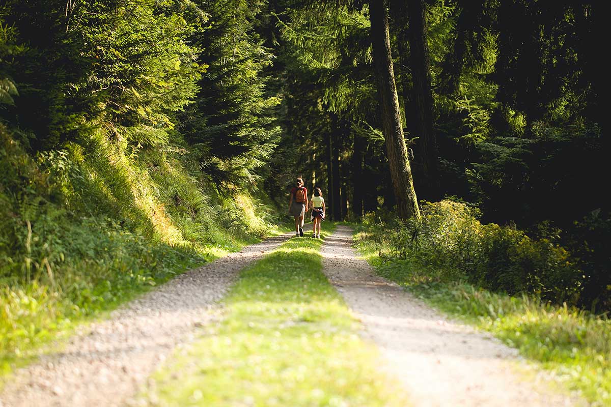 Visitare la foresta nera delle fiabe dei fratelli Grimm: tra natura e mistero