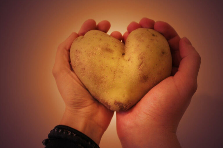 come conservare le patate