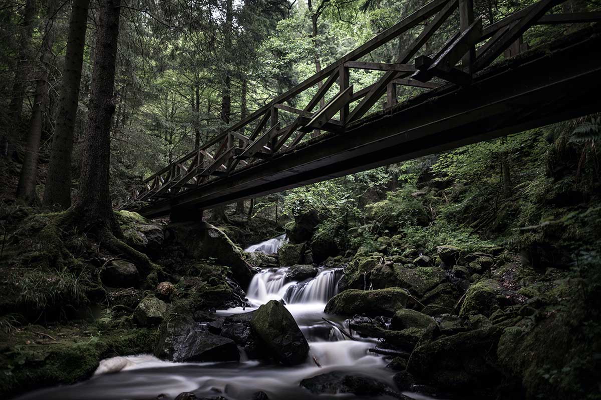 Visitare la foresta nera delle fiabe dei fratelli Grimm: tra natura e mistero