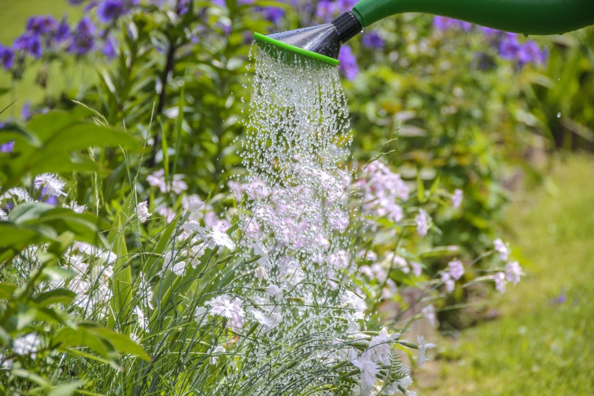 Lavori in giardino nel mese di maggio