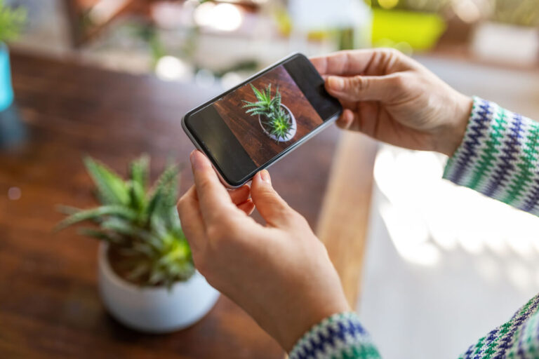 instagram e influencer foto piante