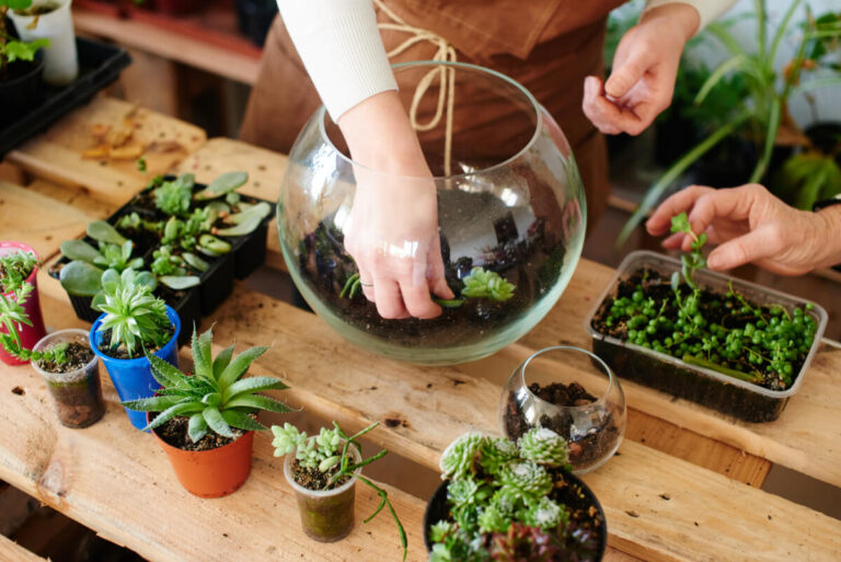 Come realizzare un terrarium perfetto in 5 mosse