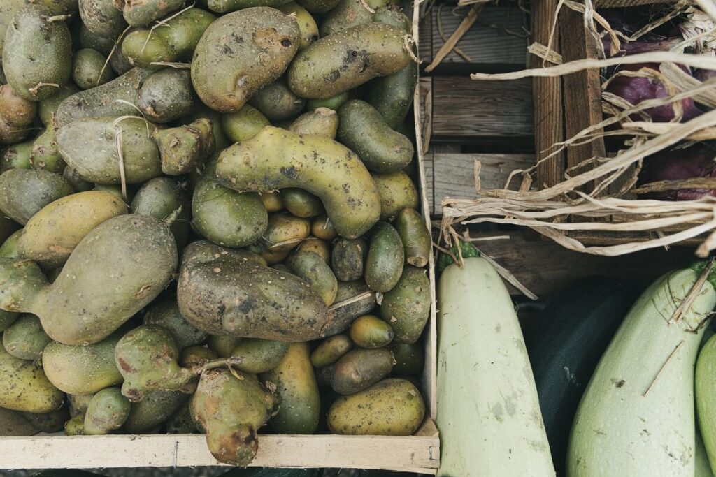 patate germogliate