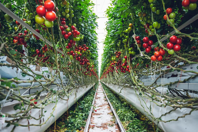 agricoltura 4.0