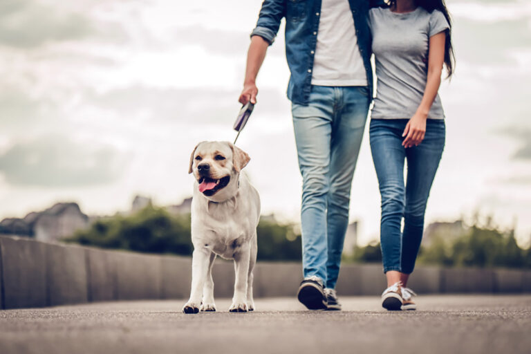 In Germania diventa obbligatorio di portare fuori il cane almeno due volte al giorno