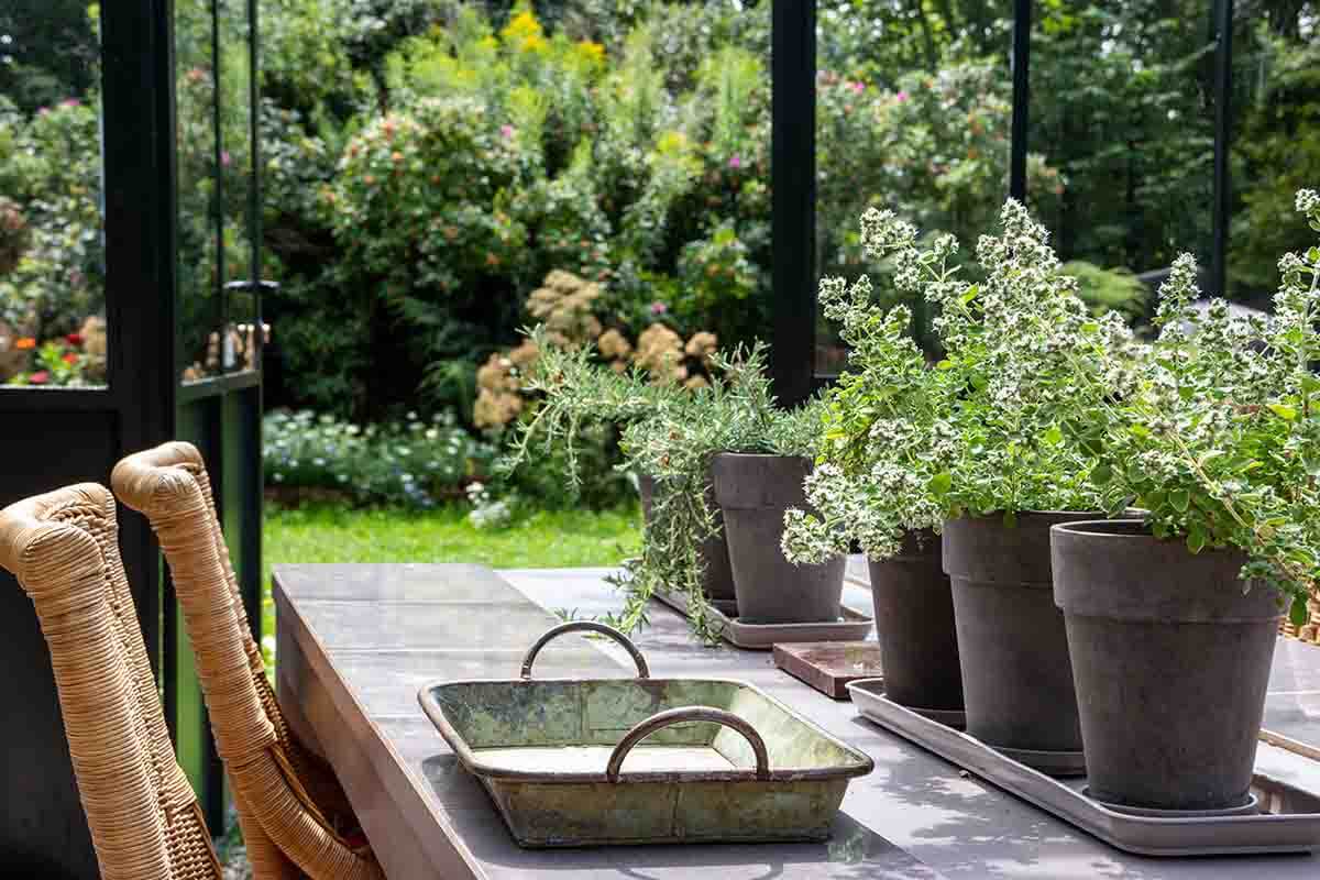 Giardino d'inverno