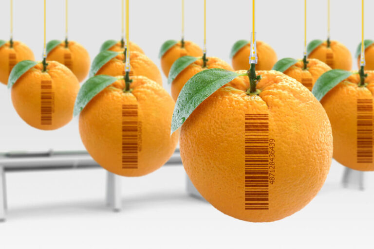 Prodotti senza OGM: che significa?