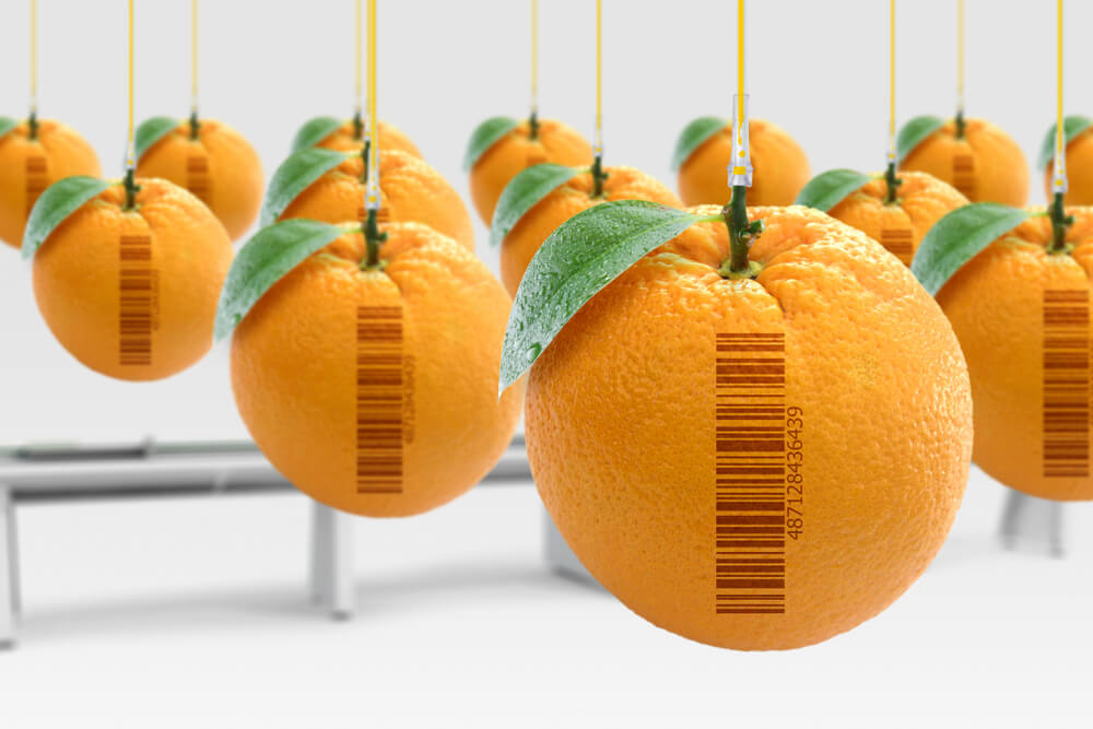 Prodotti senza OGM: che significa?