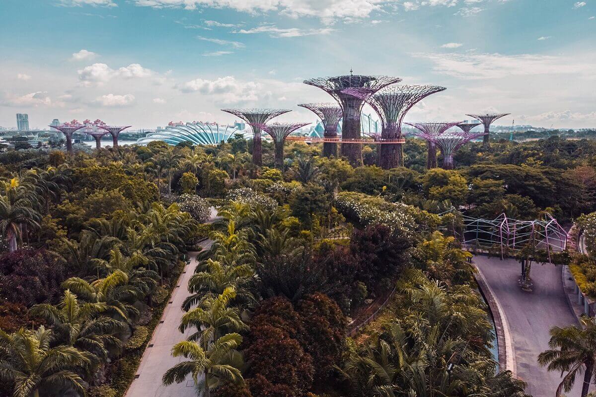 Supertrees singapore