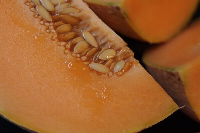Coltivare il melone sul balcone
