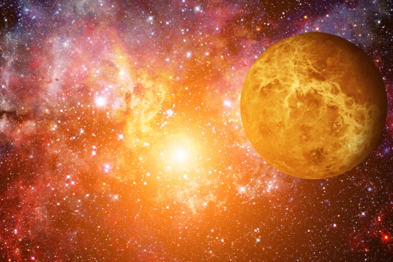 vita su venere