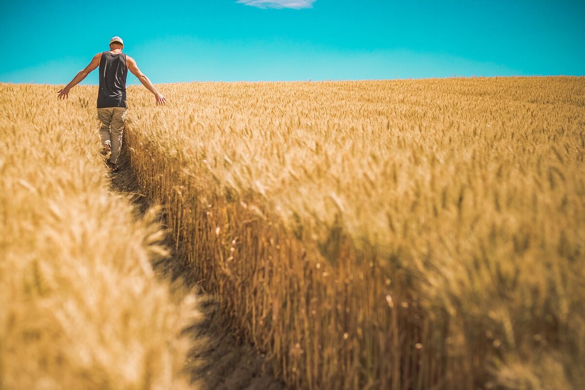 Quante aziende agricole