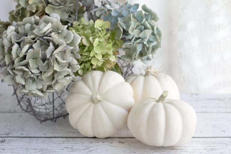 Pillole di interior design: decorare casa con le zucche