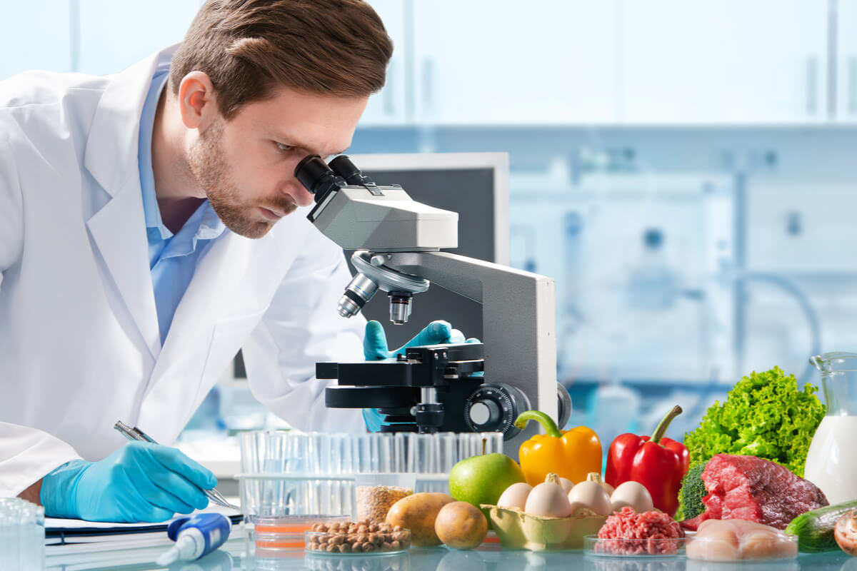 food & science festival