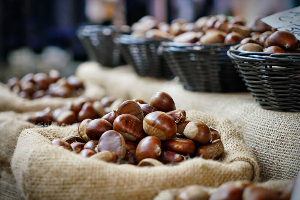 Raccolta delle castagne in Piemonte: dove andare?