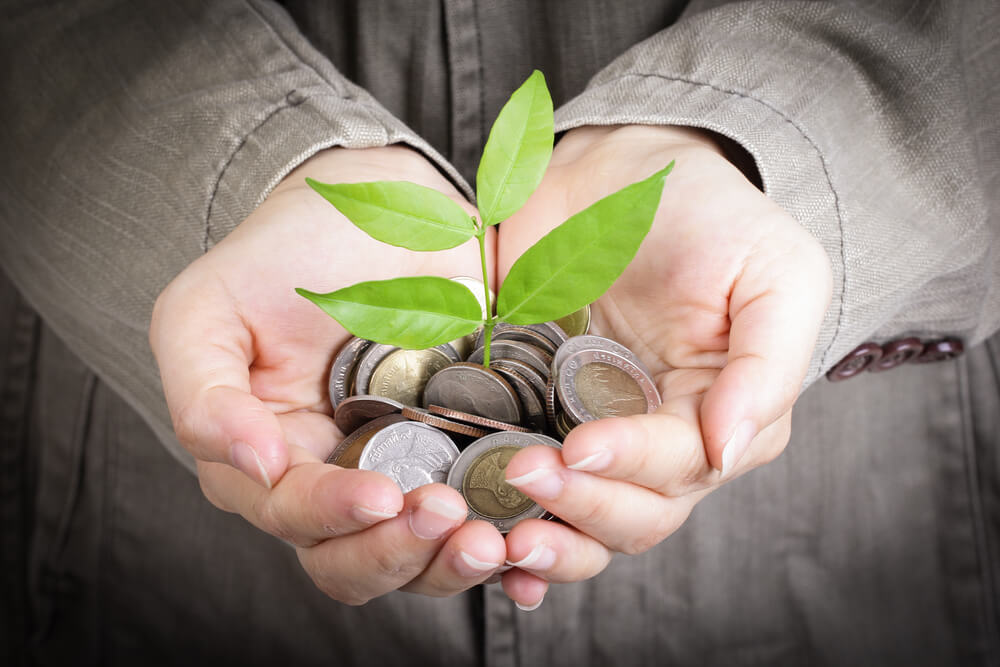 Classe energetica degli elettrodomestici: come risparmiare per aiutare l'ambiente