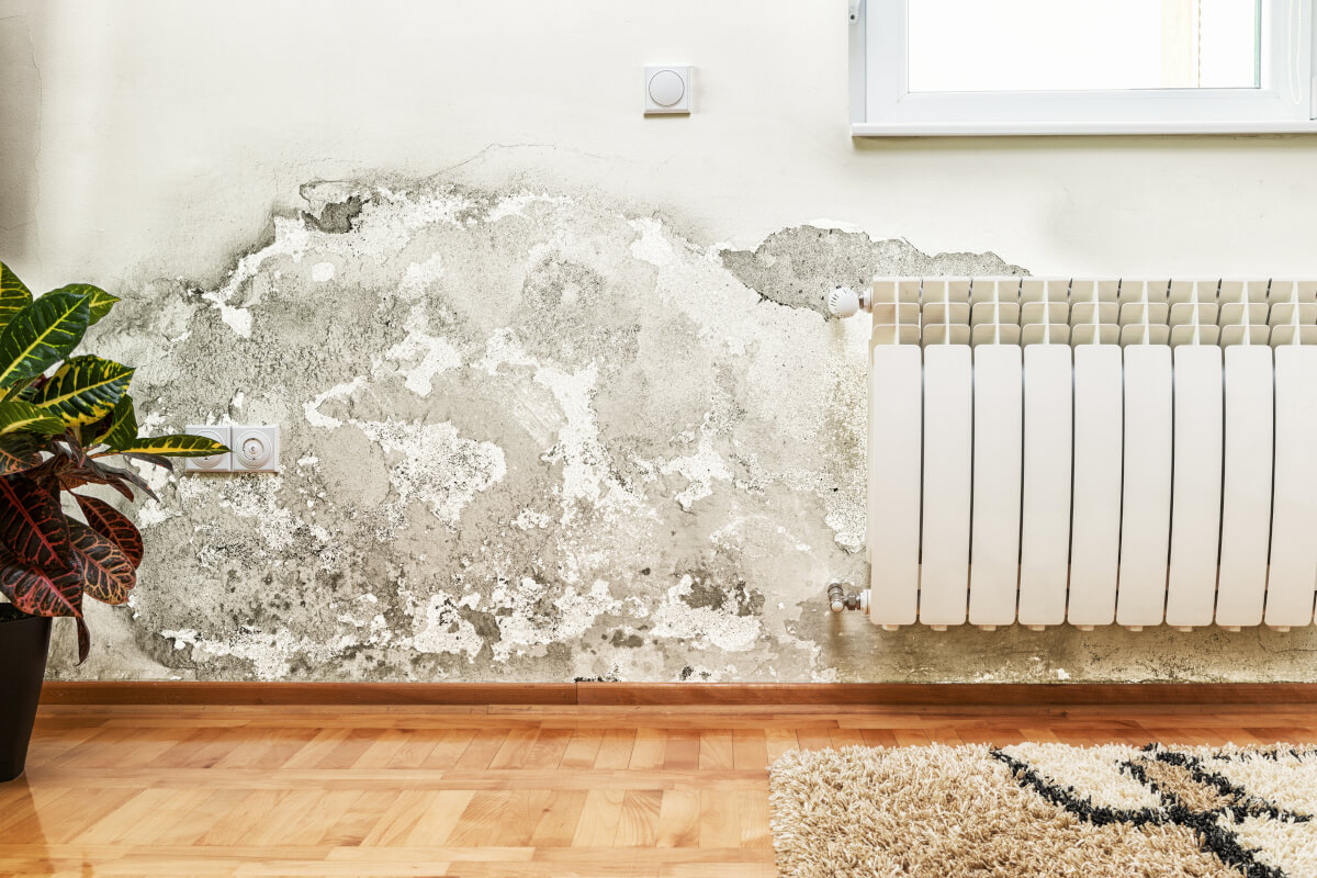 Umidità - cosa fare quando il problema si presenta in casa