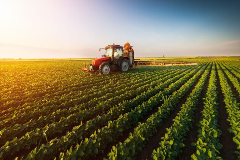 Le 10 Fiere Agricole 2021 Da Non Perdere In Italia
