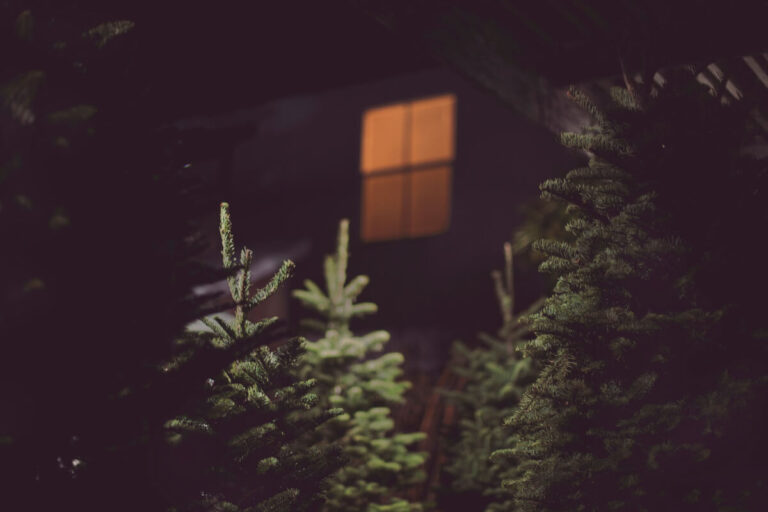 albero di natale