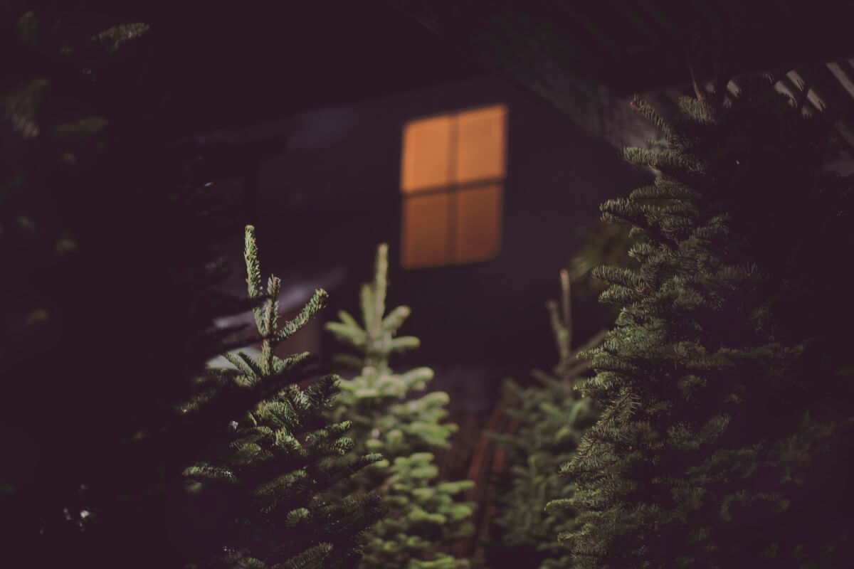 albero di natale