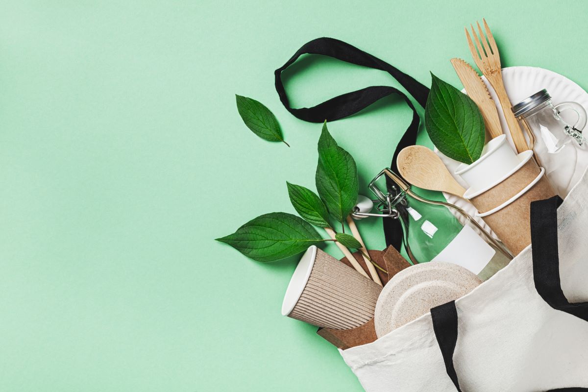 eco-shopping
