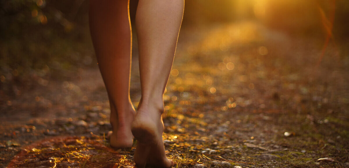 benefici di passeggiare nel bosco salute attività fisica