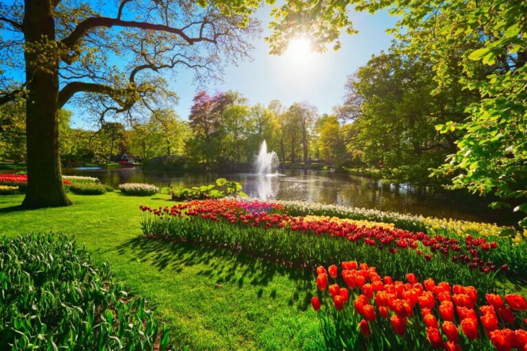 Preparare il giardino per la primavera