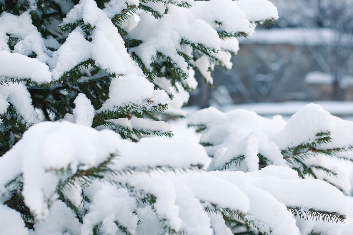 Ecco i benefici della neve