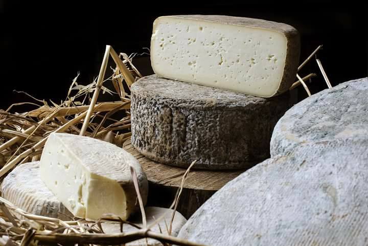 Azienda agricola Saba formaggio pecorino