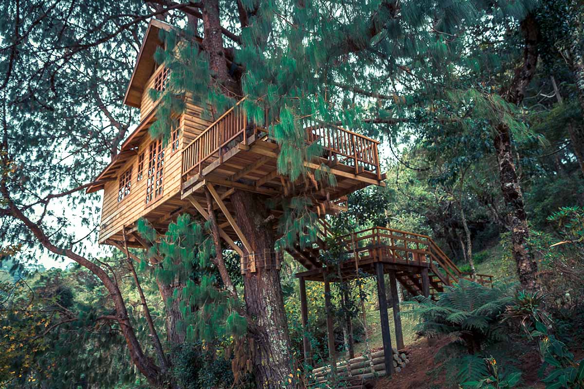 soggiornare in una casa sull'albero in Italia