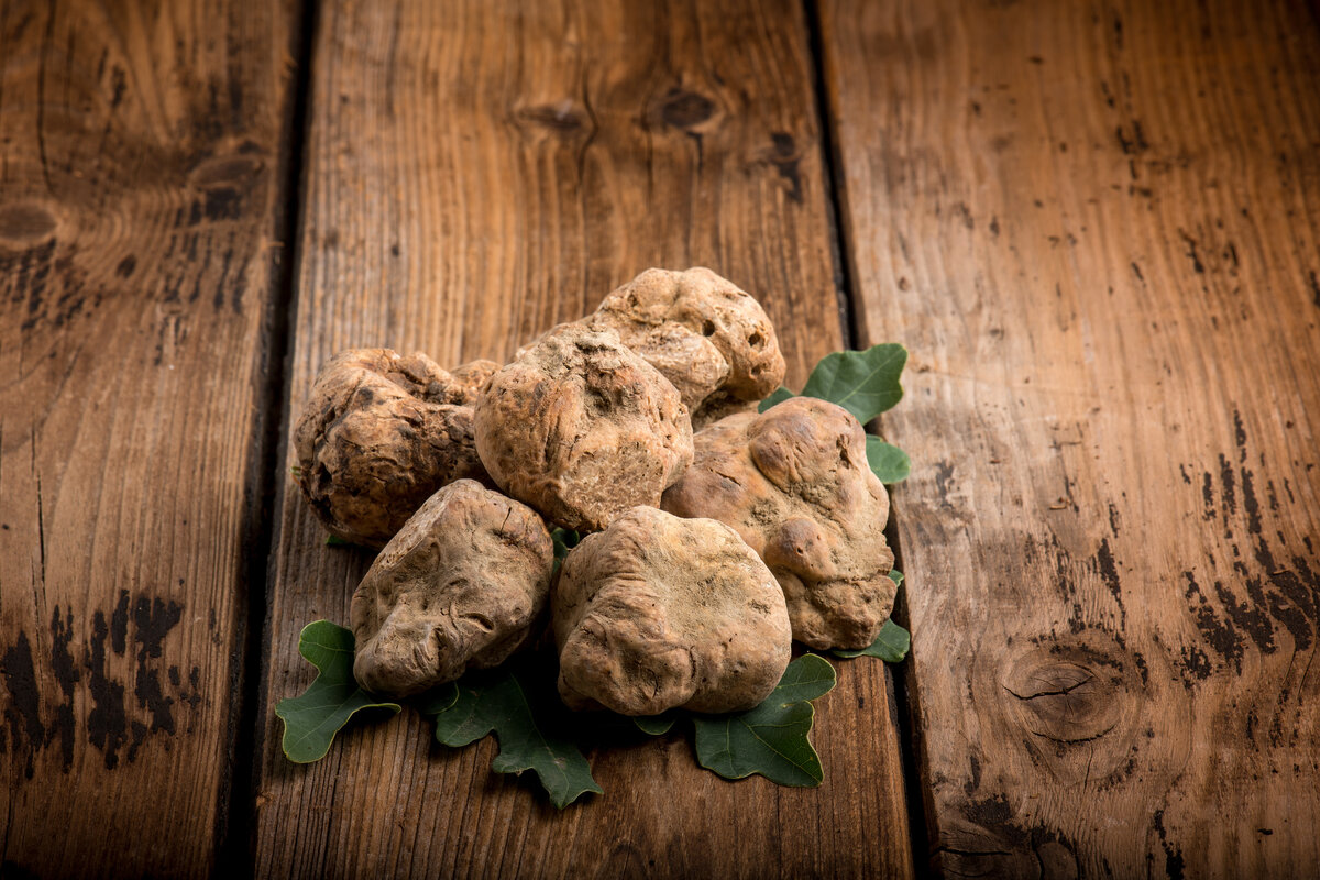 Tartufo bianco in Italia