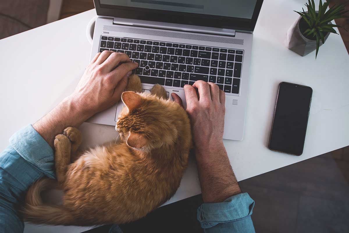 Bonus smart working svariati vantaggi per chi lavora da remoto