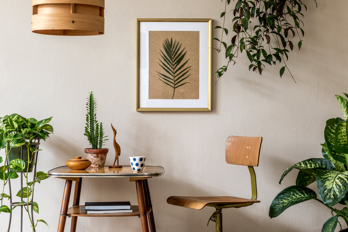 Casa Evergreen piante da interno - quali scegliere