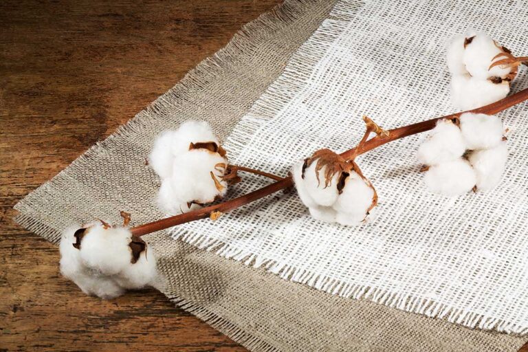 Fibre tessili naturali quali sono e come usarle