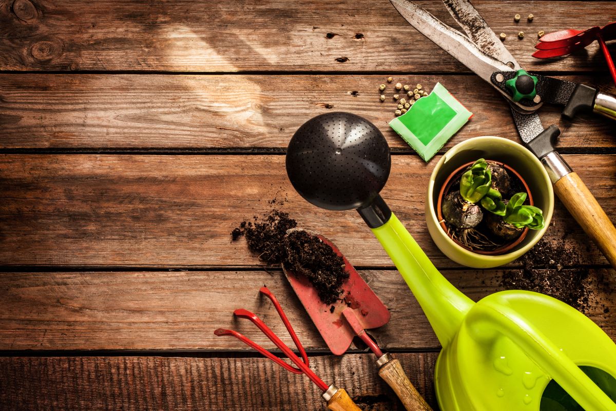 Cura del giardino