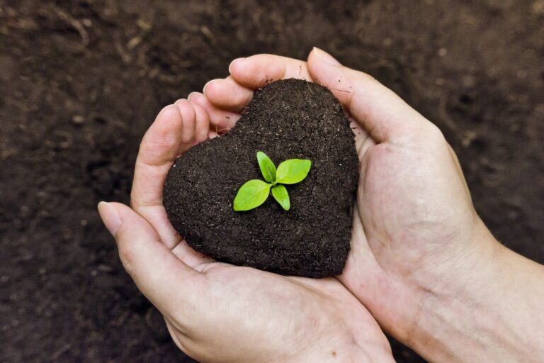 aziende bio-fertilizzante