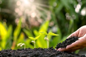aziende bio-fertilizzante