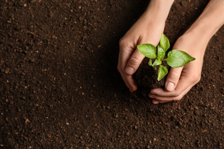 Legge sul biologico