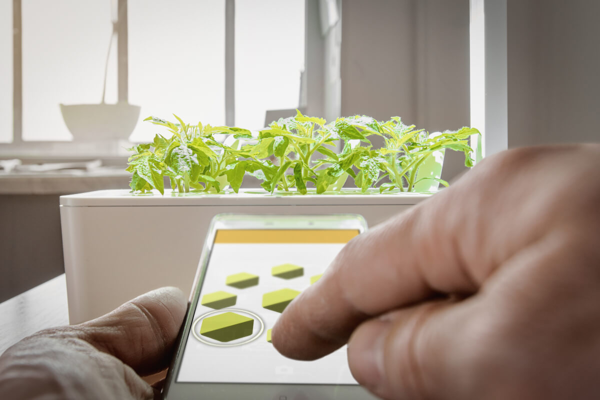 Come avere un smart garden in casa