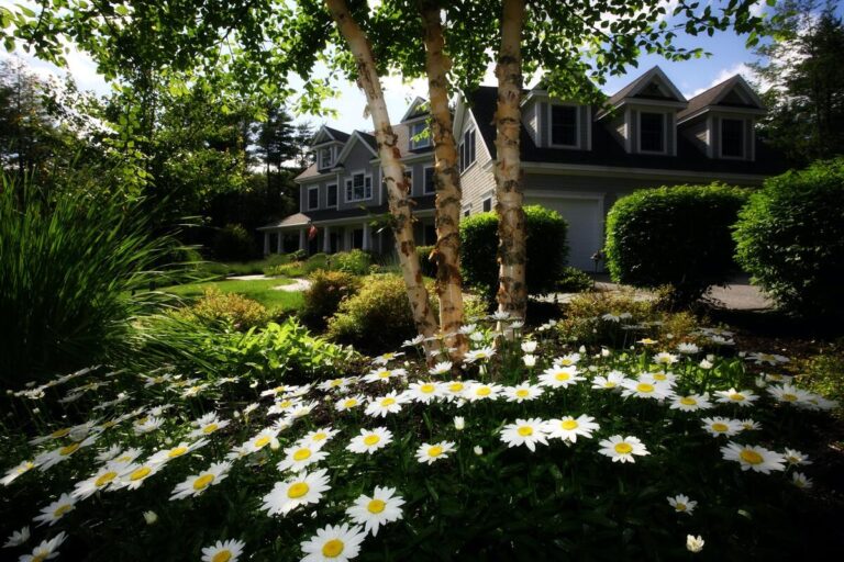 giardino da sogno - realizzarlo
