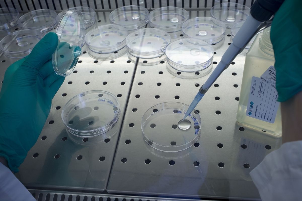 laboratorio analisi