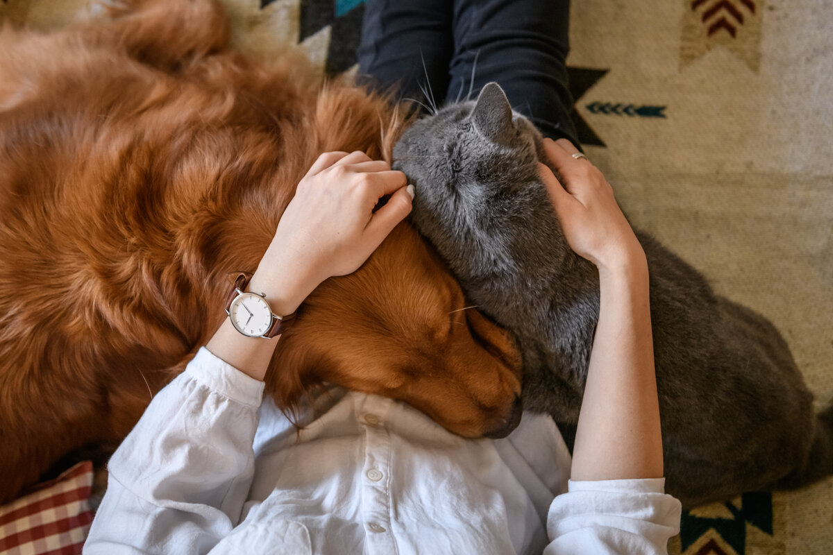 Prodotti sostenibili per animali