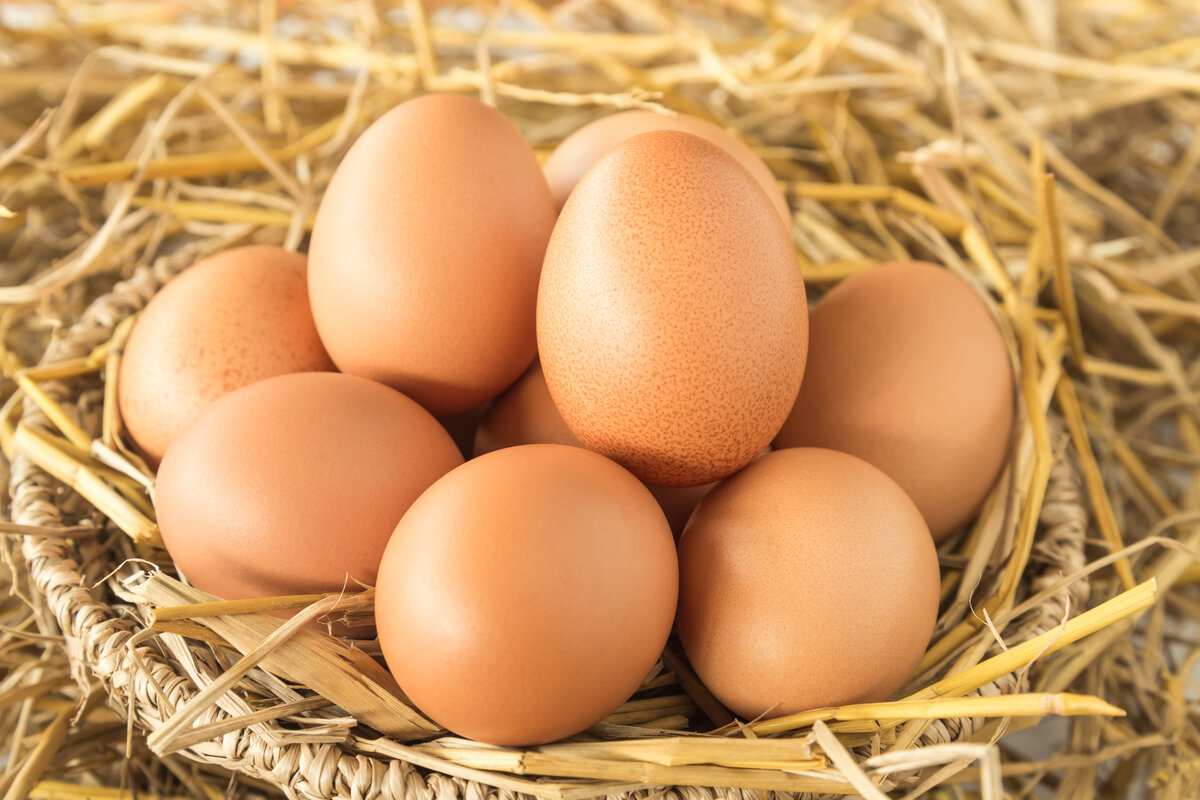 Uova e colesterolo - cesto di uova