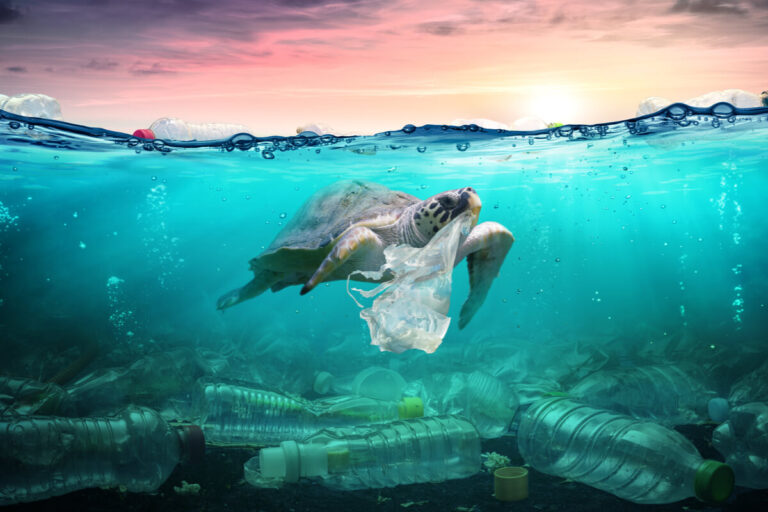 Cestini acchiappa rifiuti - inquinamento mari e oceani
