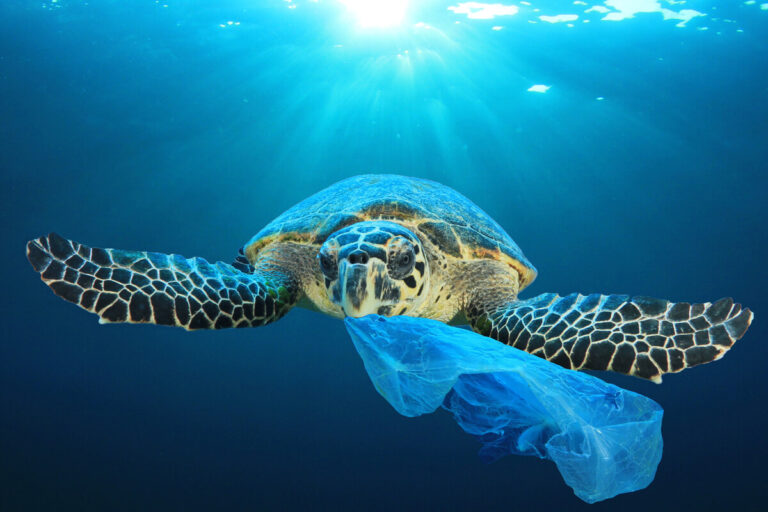 plastica in mare - oceani di plastica