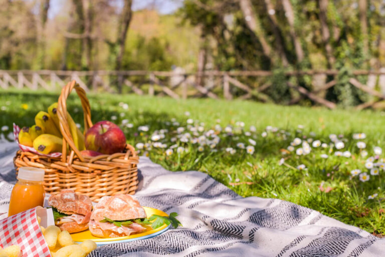 Organizzare un pic nic in giardino